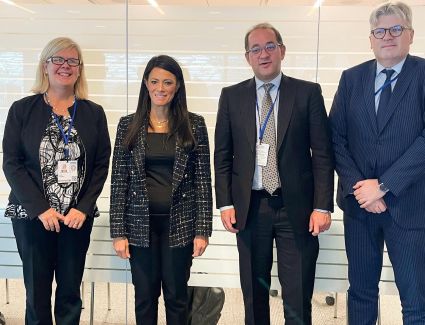 «المشاط» أكثر من 700 مليون دولار محفظة ضمانات وكالة (ميجا) للقطاع الخاص المحلي والأجنبي في مصر