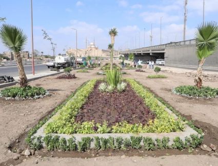 وزيرة التنمية المحلية تعلن انطلاق المرحلة الرابعة من المبادرة الرئاسية «100 مليون شجرة» بالفيوم