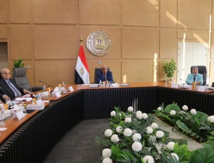 الكهرباء: 45 مليار جنيه حجم الاستثمارات منها 53% لاستكمال المشروعات القائمة و47% للمشروعات الجديدة