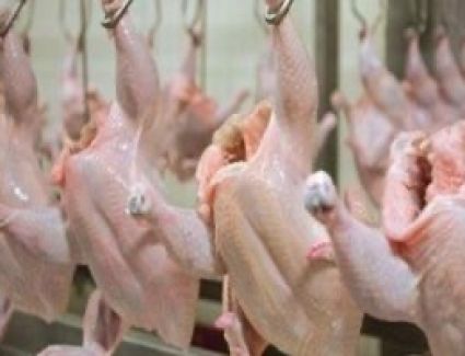 أسعار الدواجن اليوم.. الكيلو يسجل 27 جنيها فى المزرعة