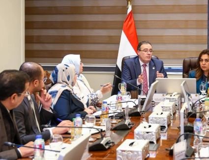 وزيرة التنمية المحلية تبحث مع رئيس الجهاز المركزي للتنظيم والإدارة تحديث الهياكل التنظيمية