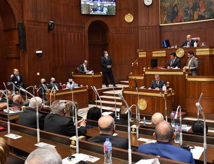نواب بـ"الشيوخ": 30 يونيو أنقذت مصر من اختطافها على يد الجماعة الإرهابية