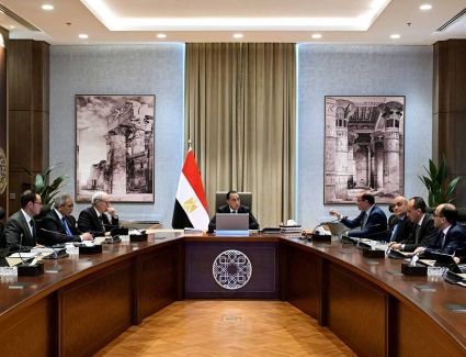 رئيس الوزراء يستعرض مع وزير المالية عددًا من الإصلاحات التي يتم دراسة إدراجها ضمن الحزمة الثانية من مبادرة التسهيلات الضريبية