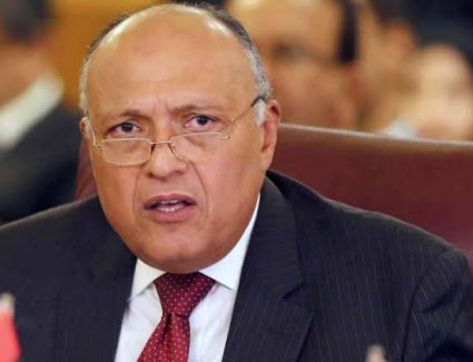 منظمات حقوقية: كلمة مصر أمام مجلس الأمن كشفت تعنت إثيوبيا والخطاب الإثيوبي مخيب للآمال