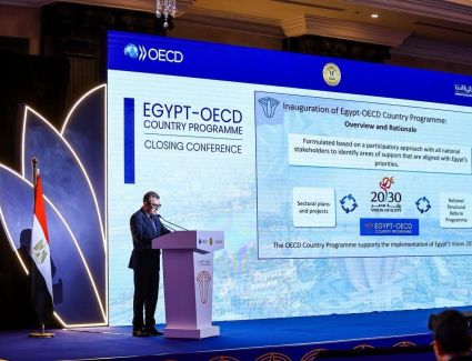 التخطيط: البرنامج القطري محطة هامة في مسار التعاون الاستراتيجي مع OECD لتبادل الخبرات وتعزيز مسار الإصلاح ودعم السياسات القائمة على الأدلة