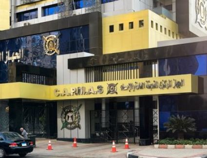 الإحصاء: تنفيذ 212 ألف وحدة سكنية في مصر باستثمارات 245.3 مليار جنيه خلال 2024/2025