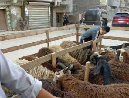 احذر.. الذبح في الشارع يعرضك للحبس والغرامة