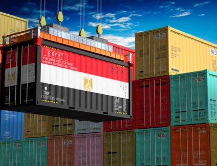 الحكومة: ارتفاع واردات مستلزمات الإنتاج خلال أول 8 أشهر من 2026