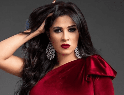 شقيق ياسمين عبد العزيز: الرئيس السيسي أرسل فريقًا طبيًا كاملًا لمتابعة حالتها