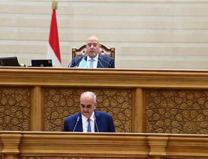 الجلسة الطارئة للنواب.. تفاصيل تأجيل تطبيق قانون الإجراءات الجنائية إلى أكتوبر 2027