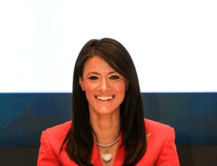 المشاط: «مليار دولار» حجم محفظة التعاون الدولي الجارية للرقمنة