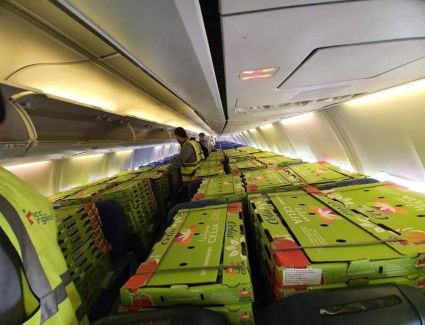 شركة مطار القاهرة للشحن الجوى تستعين بطائرة ركاب لنقل 16 طن بضائع  