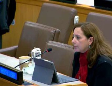 مدير «القومي للحوكمة» تشارك في الدورة الـ21 للجنة المجلس الاقتصادي للأمم المتحدة