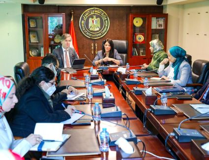 التعاون الدولي وبرنامج الأمم المتحدة الإنمائي يطلقان منصة التعاون التنسيقي المشترك