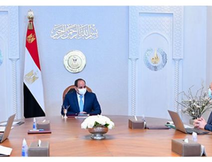 الرئيس السيسي يوجه بتحقيق أقصى كفاءة إنتاجية واقتصادية لموارد الدولة الزراعية