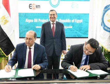 بحضور وزير البترول.. اتفاقية مصرية إماراتية لإنتاج زيت الطحالب