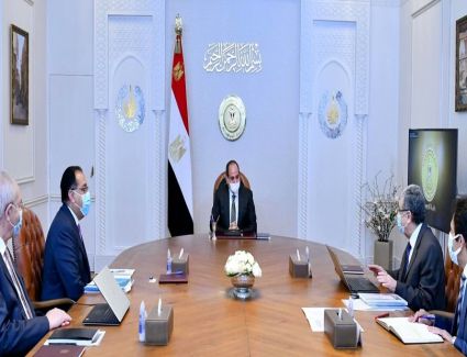 عاجل: الرئيس السيسي يوجه بتعظيم المكونات المحلية لمنظومة إنتاج الهيدروجين الأخضر