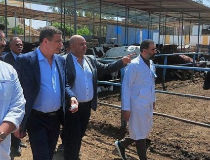 علاء فاروق: التوسع في تمويل مشروعات الإنتاج الحيواني الكبرى لتشجيع المربين على تربية سلالات الأبقار المحسنة وراثياً والتخلي عن السلالات القديمة