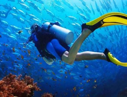 المقصد السياحى المصرى يحصد المركز الثانى فى قائمة أفضل المقاصد لممارسة رياضة الغوص