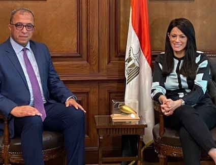 المشاط تبحث مع معهد التخطيط القومي سبل التعاون المشترك