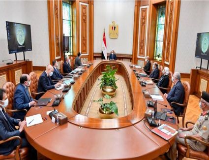 الرئيس السيسي يوجه بالاستمرار في تطهير وتطوير بحيرة المنزلة 