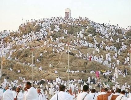 وزارة السياحة والآثار: بدء تصعيد حجاج السياحة على عرفات لتسكينهم بالمخيمات بعد الانتهاء من تفقدها