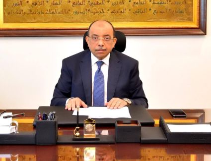 وزير التنمية المحلية يستعرض جهود الوزارة في التحول الرقمي