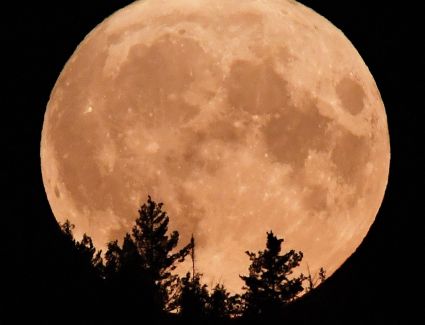 الخميس القادم.. العالم في انتظار القمر العملاق "سمك الحفش"