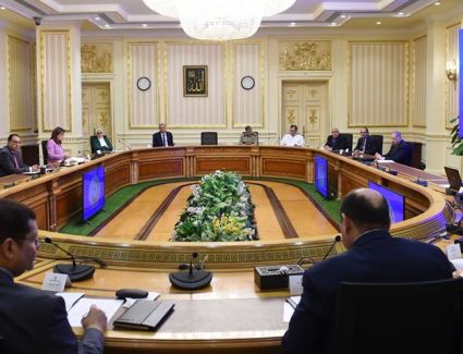 رئيس الوزراء يوجة بتنفيذ توصيات الرقابة الادارية بانشاء مجلس أعلى للصحة 