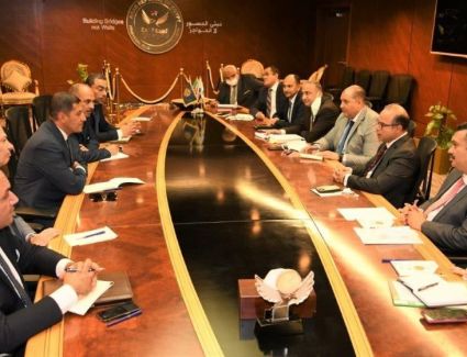 «الرقابة المالية» و«الاستثمار» يشكلان لجنة تنسيقية دائمة لتطبيق القرارات التنفيذية