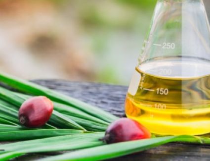 الطن يصل إلى 777 دولارا.. انخفاض حاد في سعر زيت النخيل