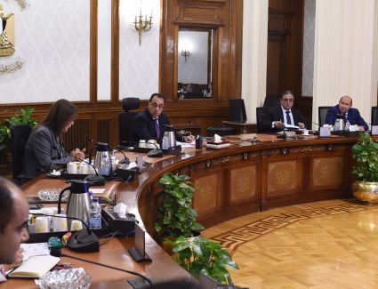 رئيس الوزراء يتابع الموقف التنفيذي للمبادرة الوطنية للمشروعات الخضراء الذكية