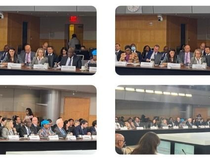 كلمة وزيرة التعاون الدولي أمام مجموعة الـ24 الدولية المعنية بالشئون النقدية والتنمية