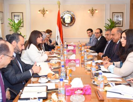 وزير قطاع الأعمال يبحث مع وزيرة الهجرة تحفيز المصريين بالخارج للاستثمار بالشركات التابعة