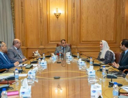 "وزير الإنتاج الحربي" يستقبل رئيسة شركة "إم جلوري" الإماراتية 