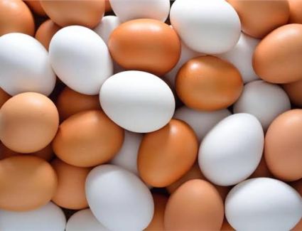 اسعار البيض اليوم 2 نوفمبر للمستهلك 