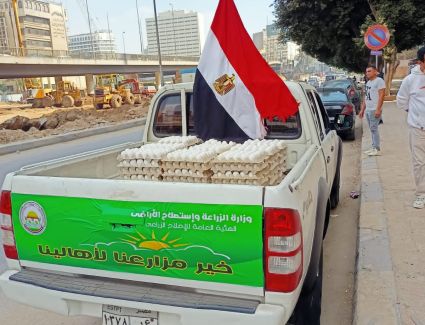 "الزراعة" تطرح كميات من بيض المائدة باسعار مخفضة عبر منافذها بالمحافظات المختلفة