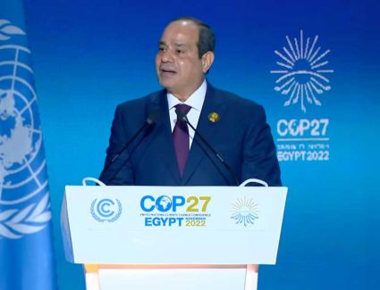 الرئيس السيسي لقادة العالم: يجب العمل على إيقاف الحرب الروسية ـ الأوكرانية