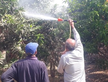 الزراعة تترصد الآفات الزراعية مع بداية الموسم الشتوي