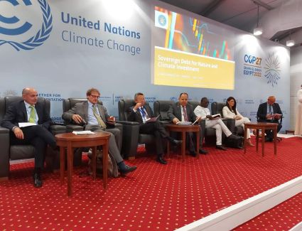 وزير المالية: تتعرض 33 دولة أفريقية في الوقت الحالي لخطر كبير نتيجة أزمة الديون