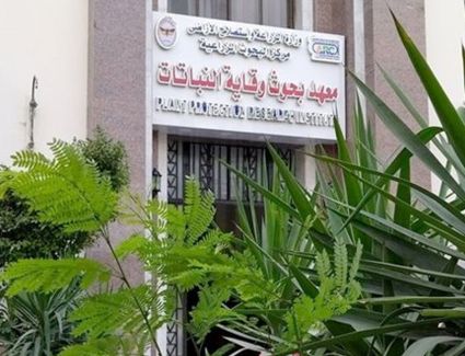 وقاية النباتات يعلن عن برنامج تدريبى عن إدارة العمليات النحلية في ظل التغيرات المناخية