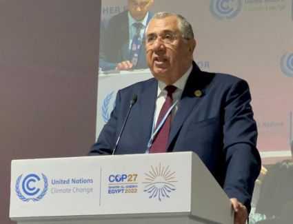 الزراعة: مبادرة الغذاء والزراعة "FAST " تلقى دعما كبيرا من المشاركين في قمة المناخ 