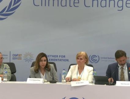 وزير المالية: الدول النامية الأكثر عرضة للمخاطر والأضرار الصحية الناتجة عن تغير المناخ