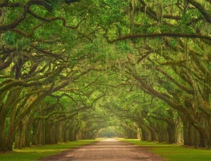 «مغامرات وأشباح»..  تعرف علي أفضل 6  أماكن أمريكية تجذب السائحين في نوفمبر