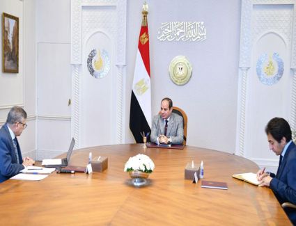 الرئيس السيسي يتابع نشاط هيئة قناة السويس