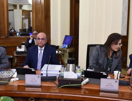 وزيرا التخطيط والمالية يستعرضان المؤشرات الأولية لأداء الاقتصاد المصري