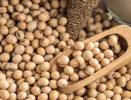 7 آلاف جنيه تراجع بأسعار علف الصويا بعد الإفراج الجمركي عن كميات جديدة