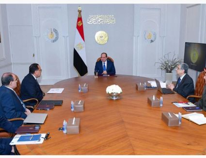 الرئيس السيسي يتابع الموقف التنفيذي لإمدادات التغذية الكهربائية للمشروع الزراعي "الدلتا الجديدة"
