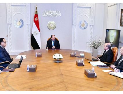 الرئيس السيسي يتابع التطوير التقني للهيئة القومية للتأمين الاجتماعي