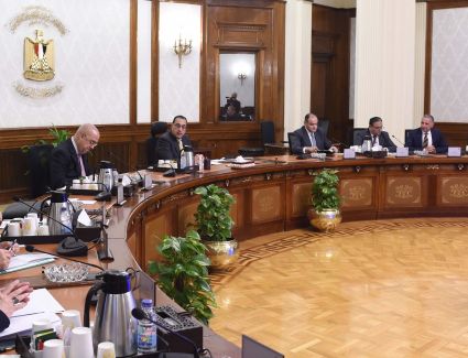 رئيس الوزراء: الحكومة لن تكسب جنيهًا واحدًا من ثمن الأراضي الصناعية